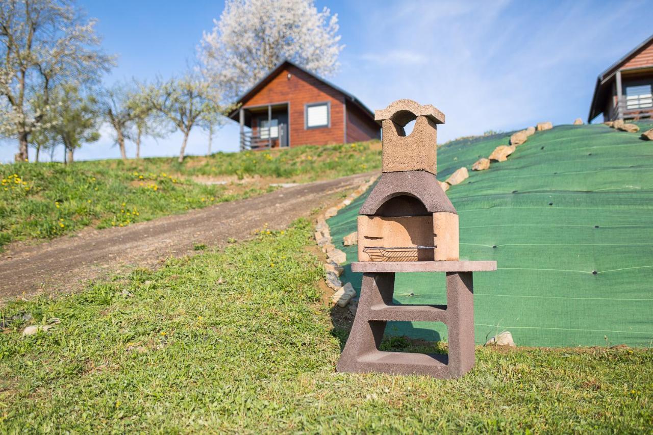 Domki Pod Roztóczką Vila Hoczew Exterior foto