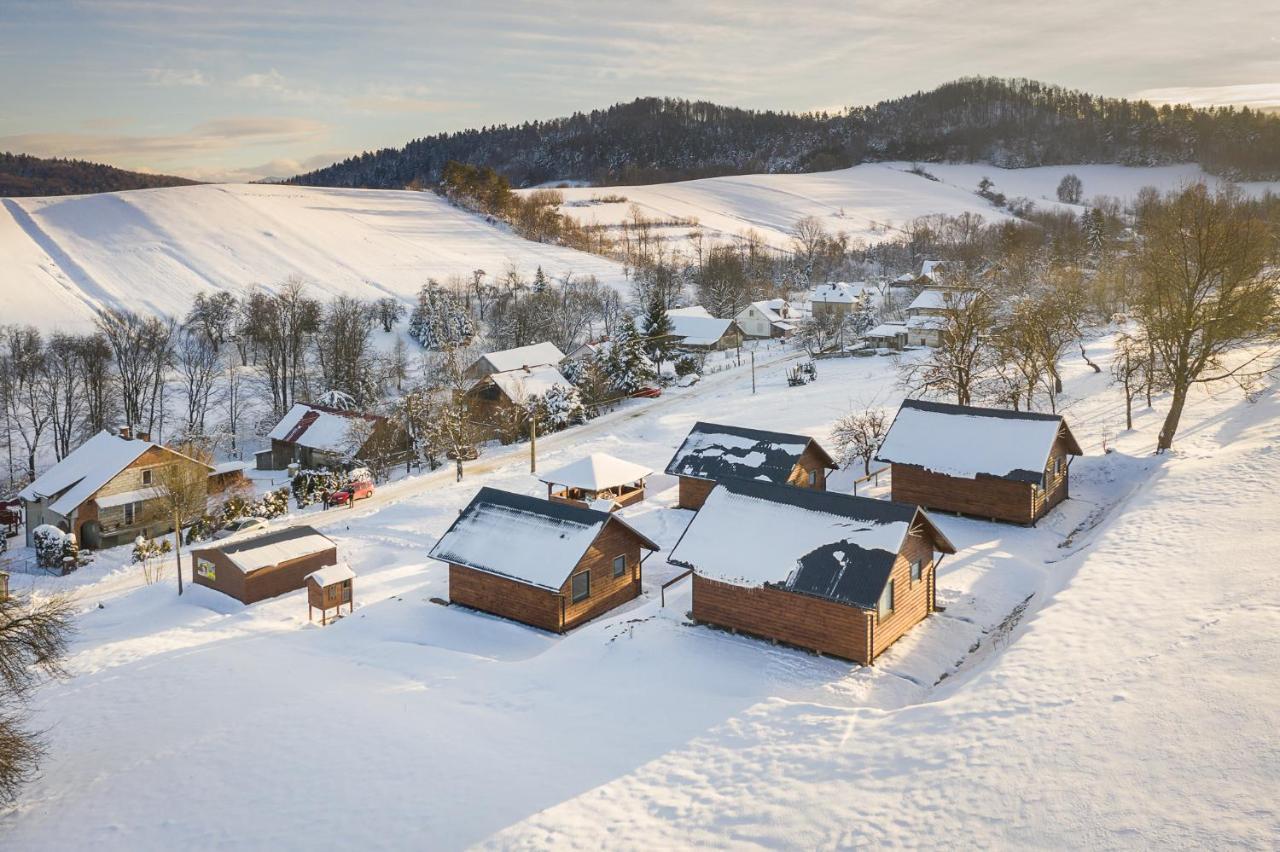 Domki Pod Roztóczką Vila Hoczew Exterior foto